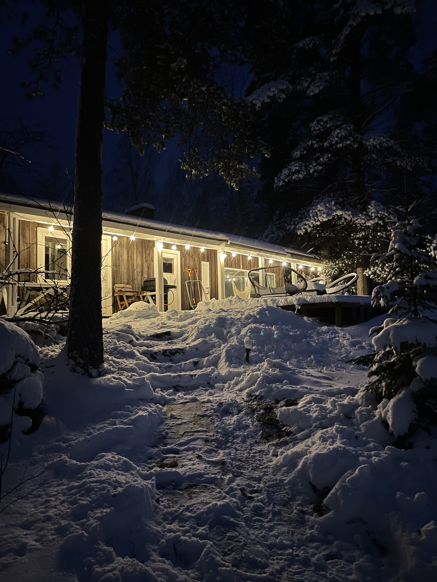 Talvinen kuva järveltä päin